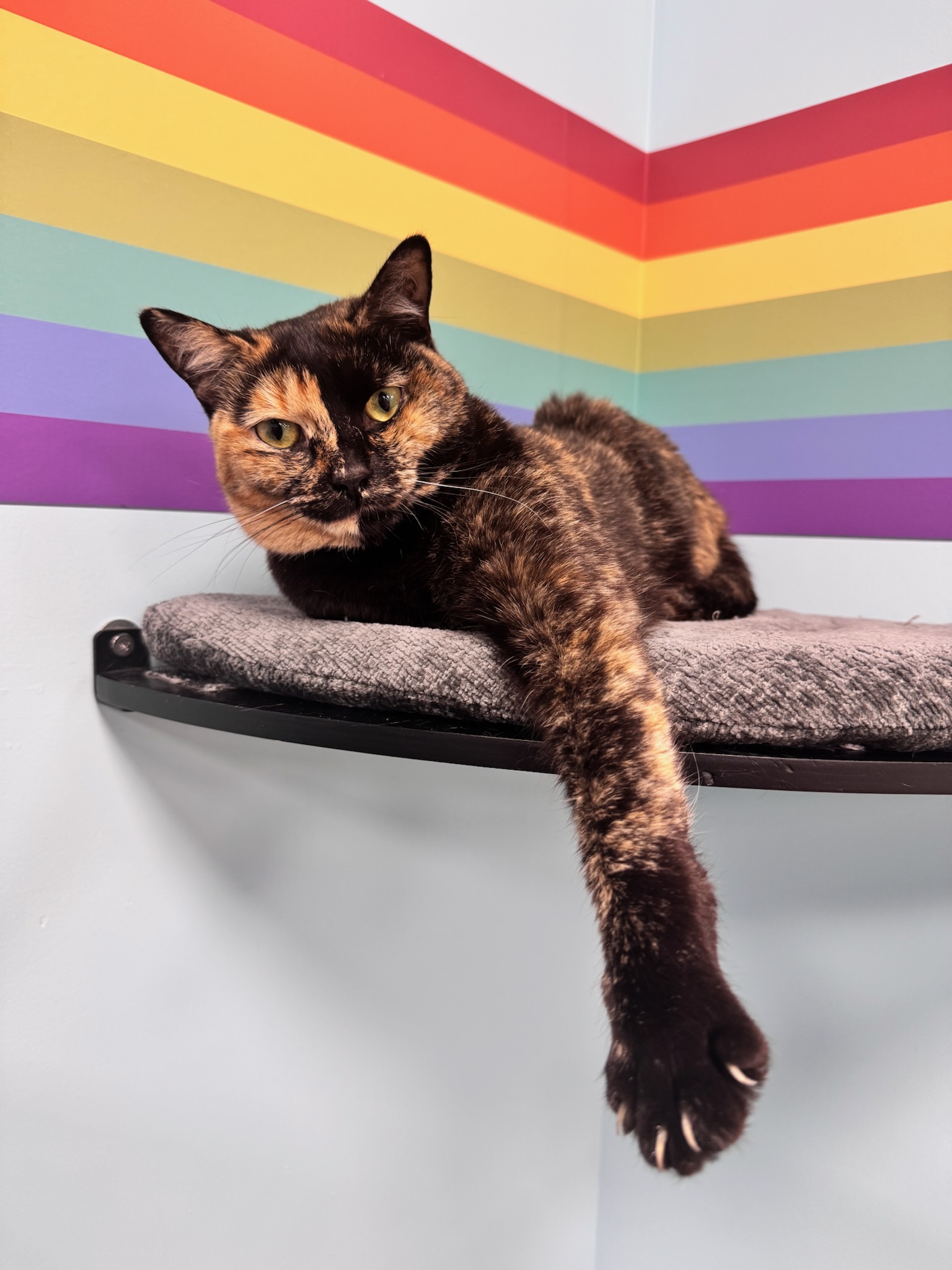 Birdie Elliot