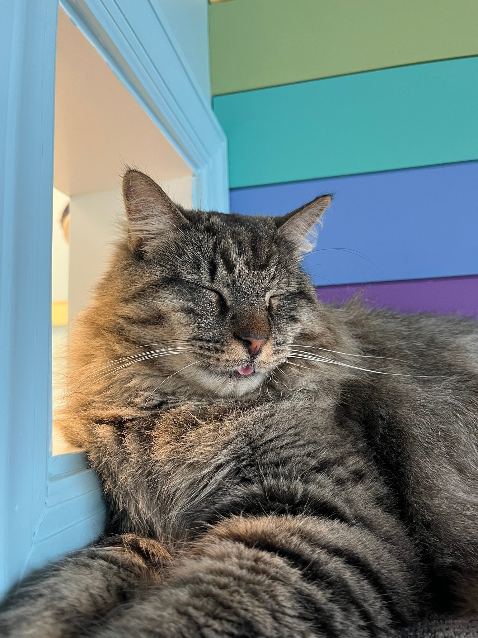 Gizmo