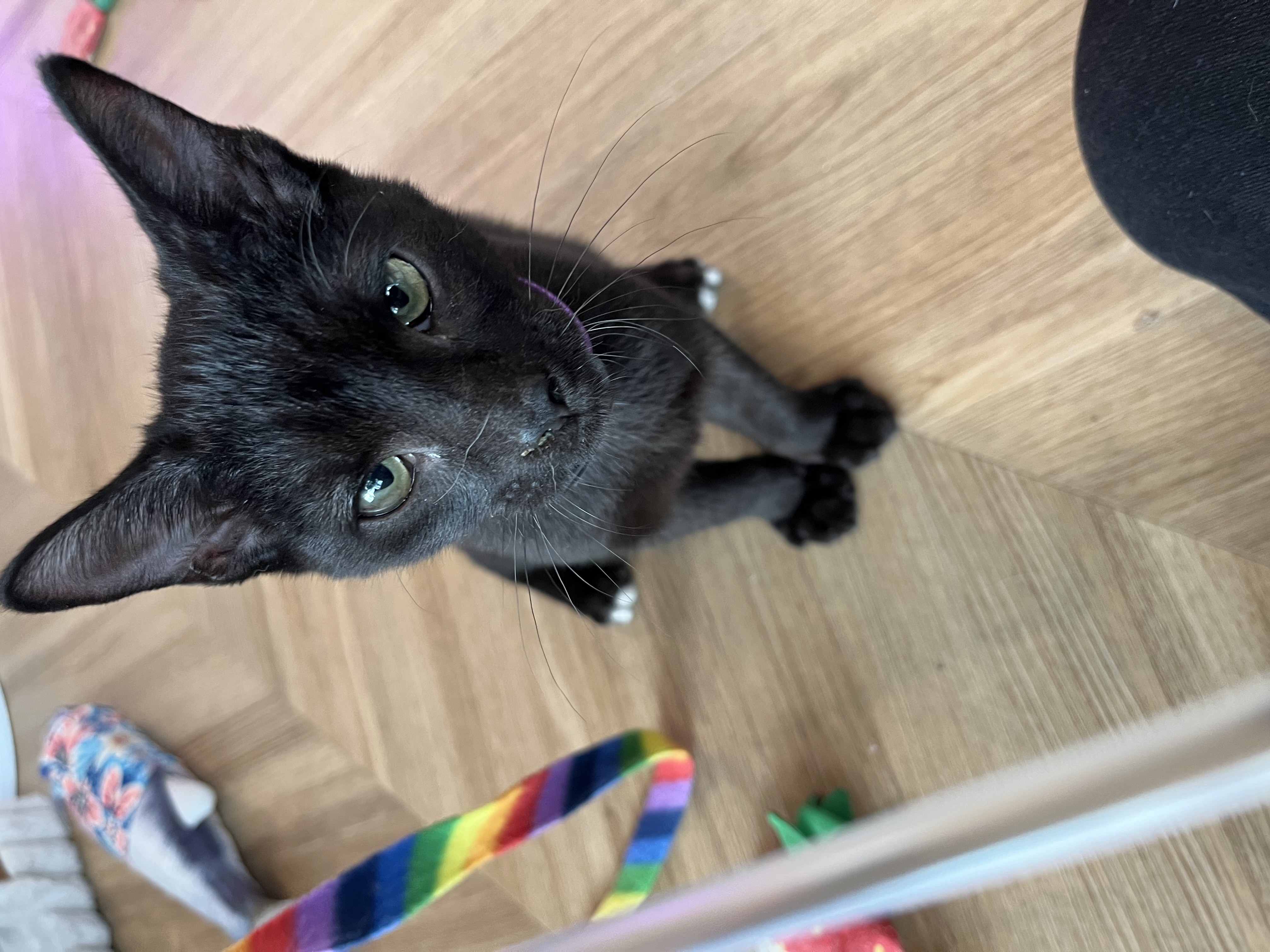 Albert