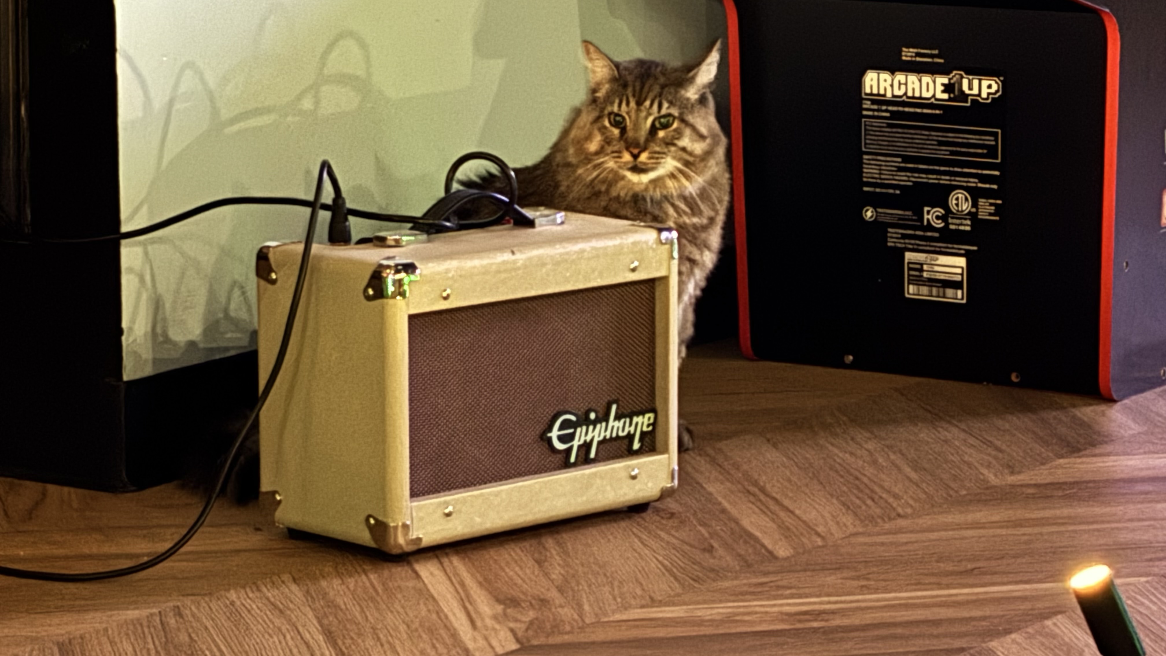 Gizmo