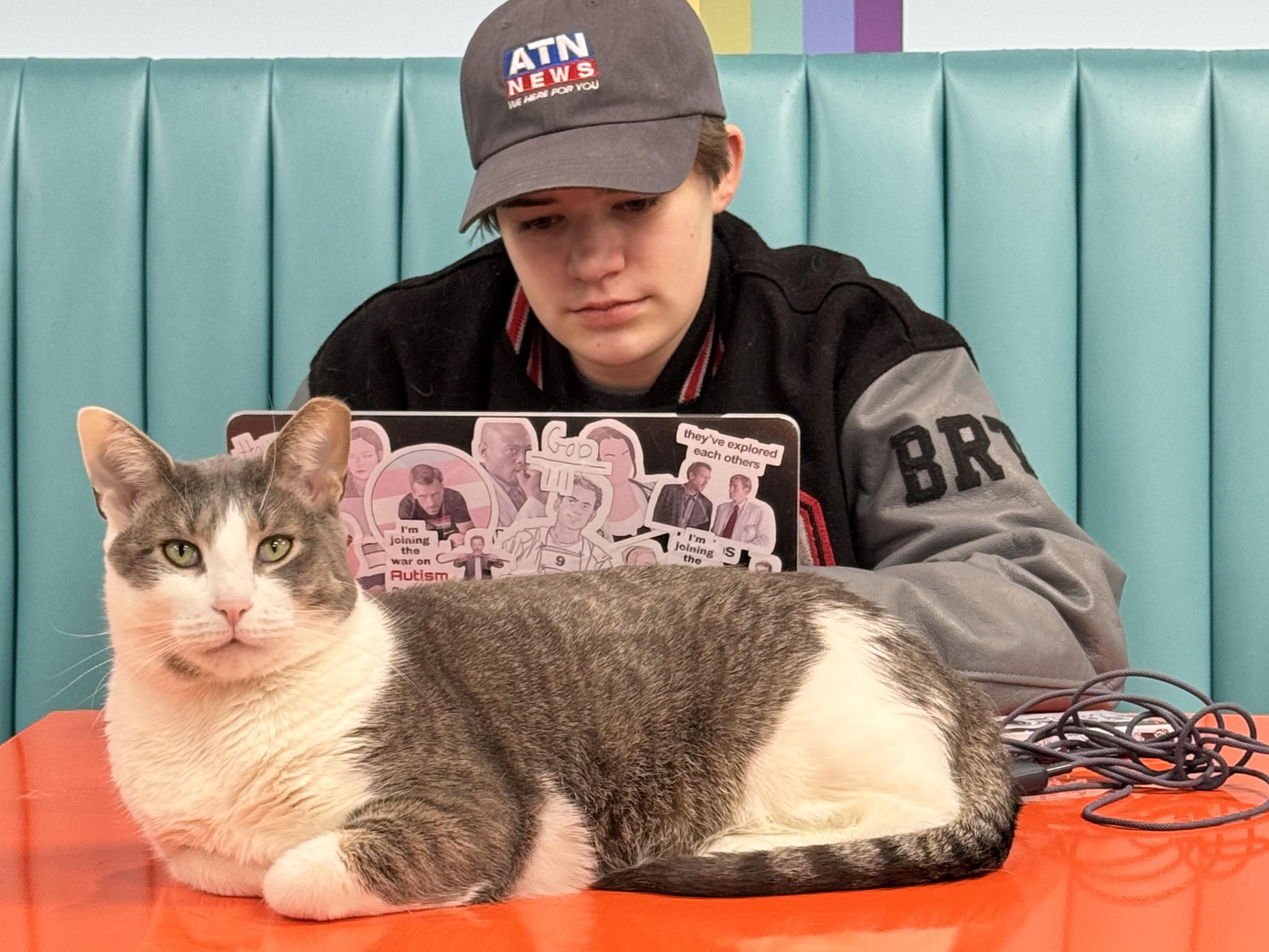 Work/Study with Cats (3hr block)