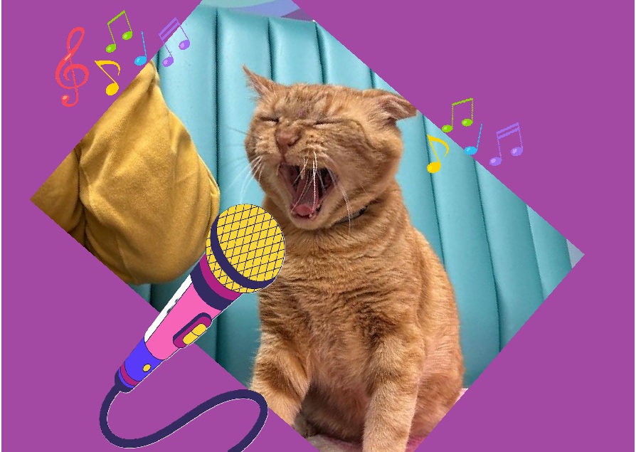 Open Mic Night