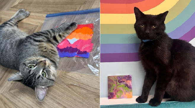 Nip and Paint