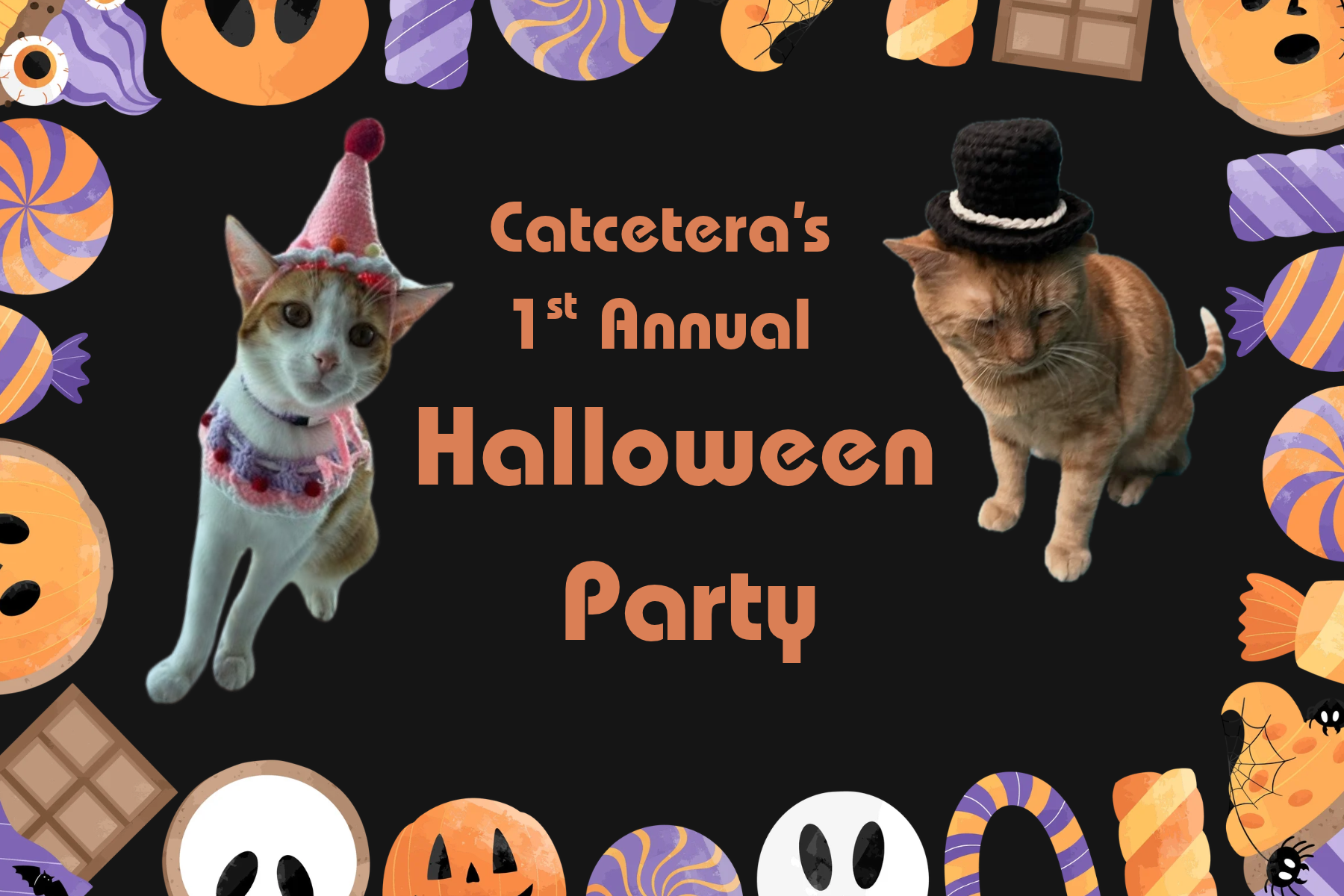 Catcetera's 1st Annual Halloween Party!